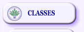 CLASSES